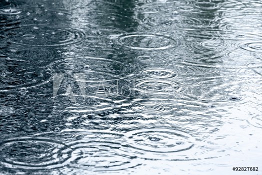 Picture of Rain drops background